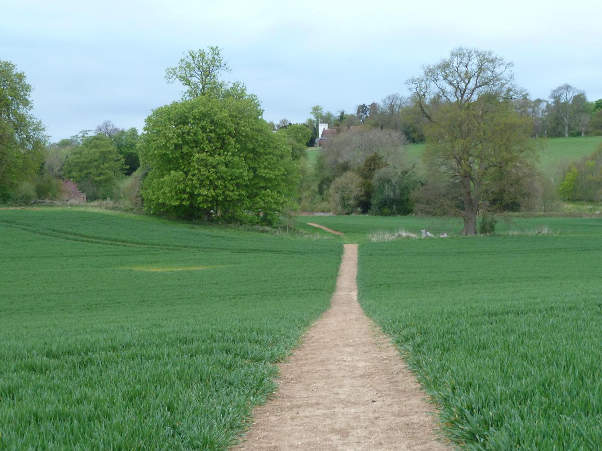 Palace Farm Courtyard And Granary Rooms Doddington  Exterior foto